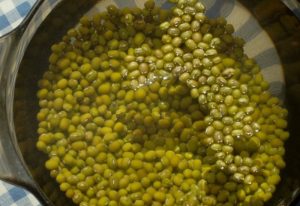 Kharcho s Mash Bean