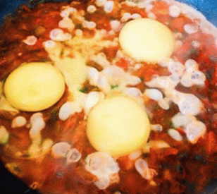 Izraelská shakshuka