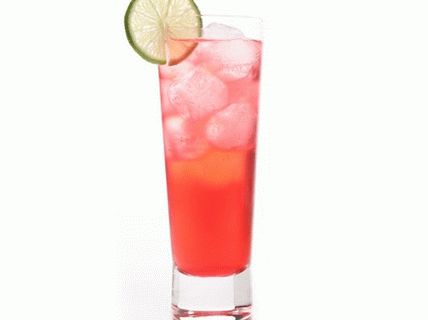 Foto brusnicová vodka s tonikom