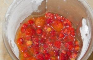 Koktejl Berry Mix