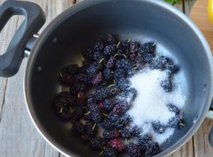 Mulberry kompot