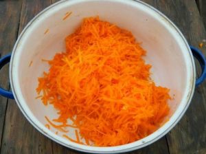 Tekvica Fritters