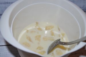 Panacotta s melónom