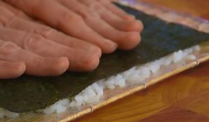 Úhor Rolls