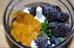 Berry PP zmrzlina