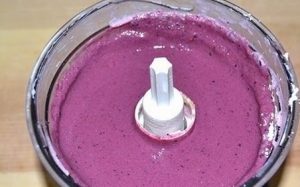 Berry PP zmrzlina